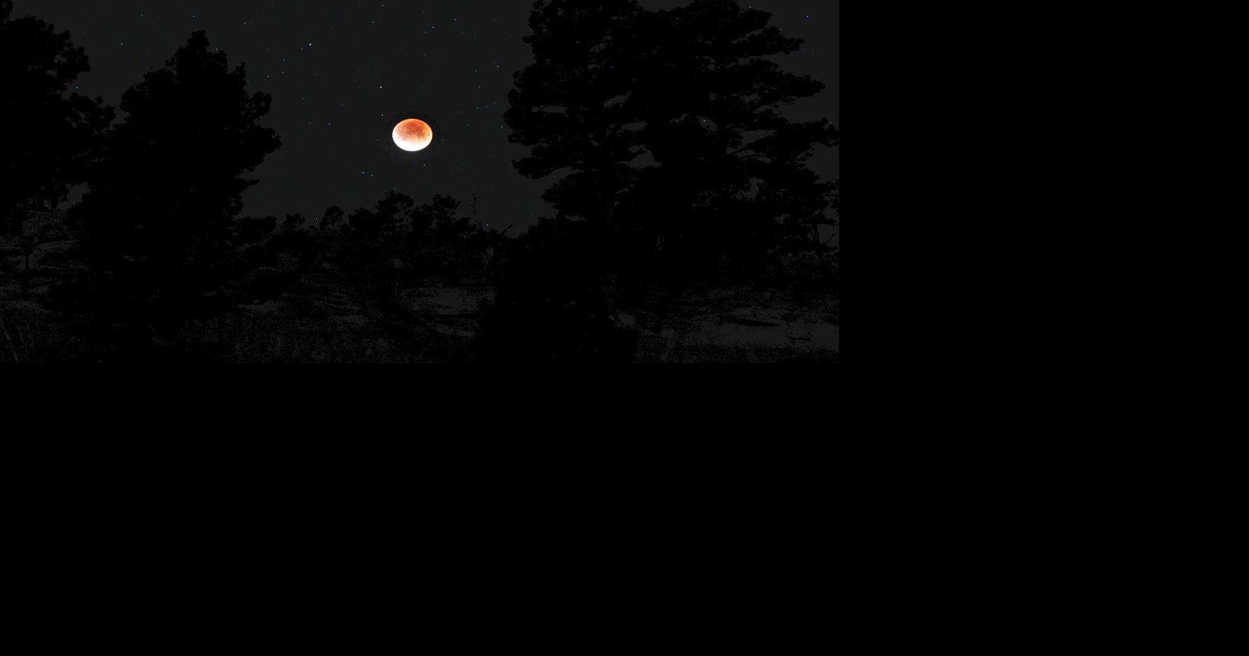 Photo: Blood moon at Phipps Park