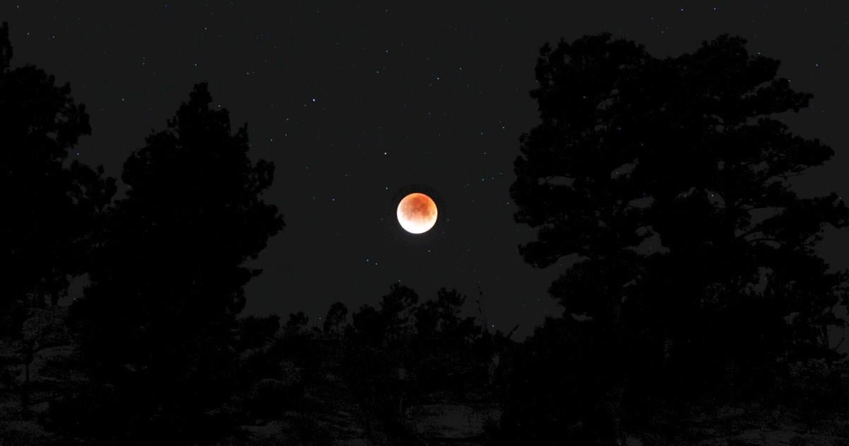 Photo: Blood moon at Phipps Park