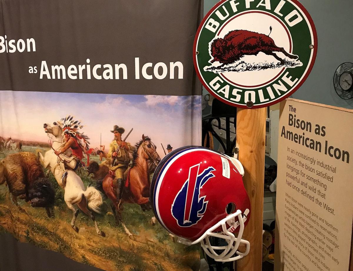 Exhibit in Billings shows the history of bison