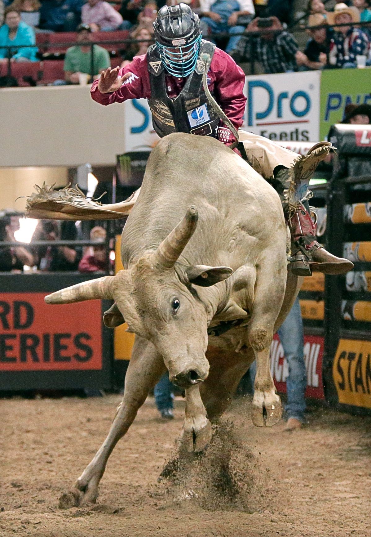 Lee gets 500th PBR ride at Billings event Rodeo news