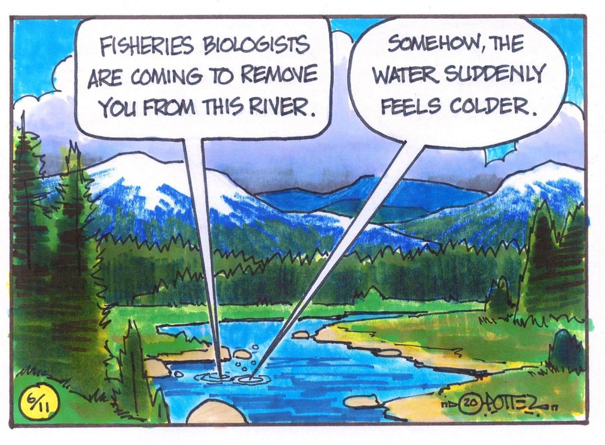 Brook trout