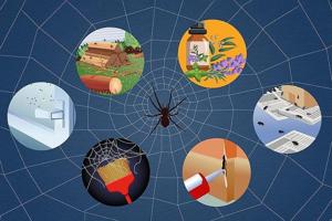 It’s spider season in your house. Evict them with this easy arach-attack hack