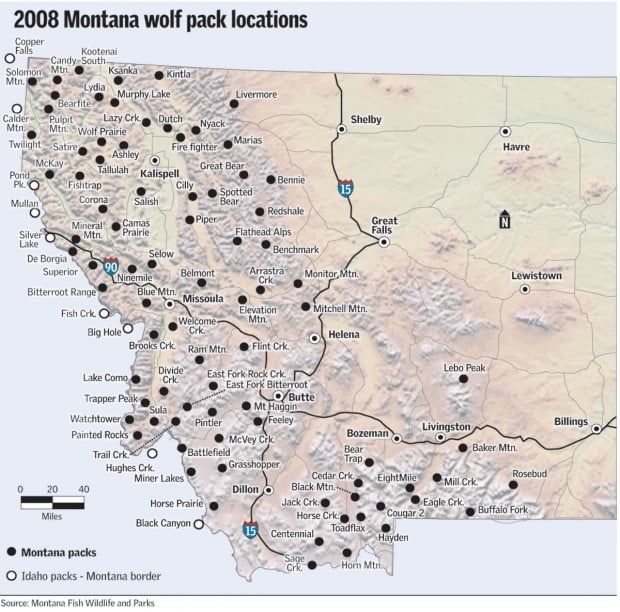 Montana Outdoors: A key question on wolves: Are the animals connected