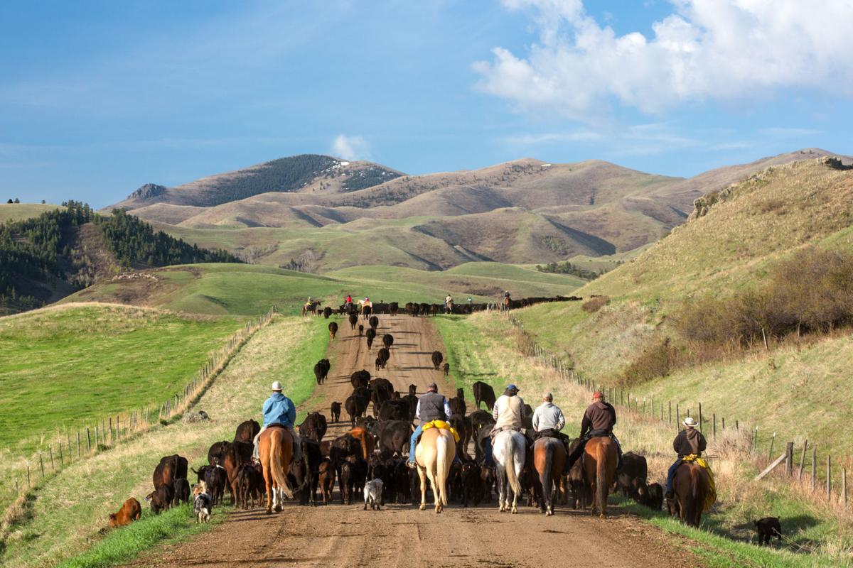 Beautiful photos of Montana's farms and ranches Montana News