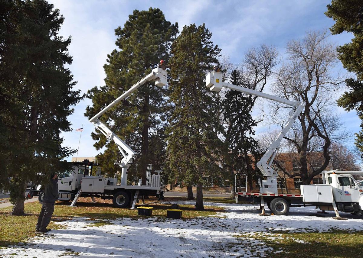 Community Christmas Tree