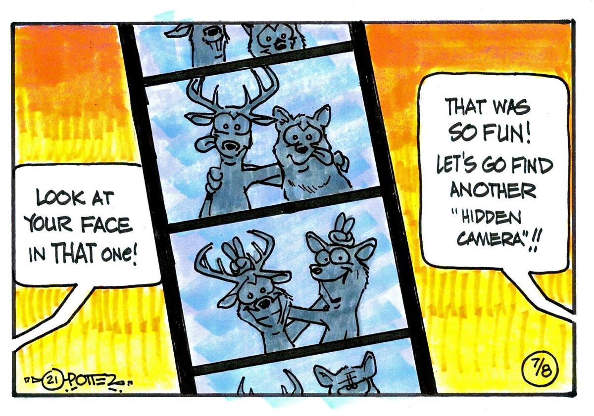 Hidden cameras