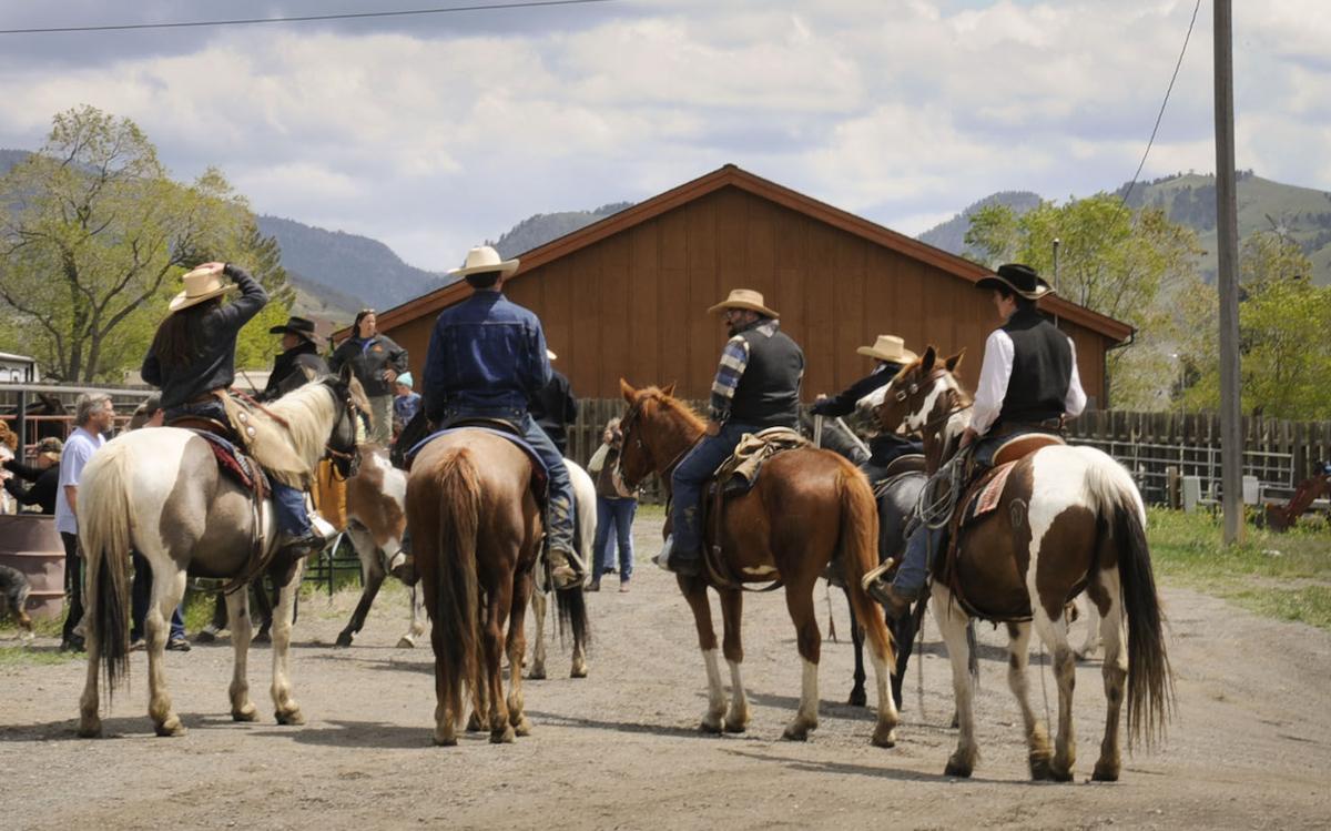Horses Run Through Gardiner In Annual Horse Drive Montana News 