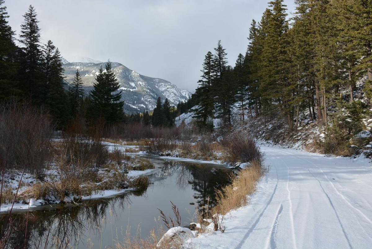 Beaver ponds