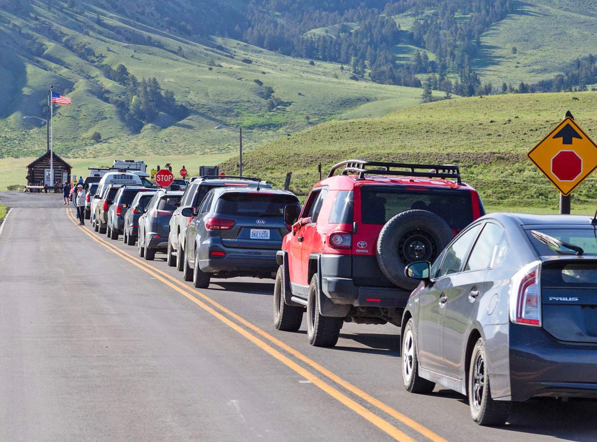 First Yellowstone Covid Tests Clean Visitation Down Outdoors