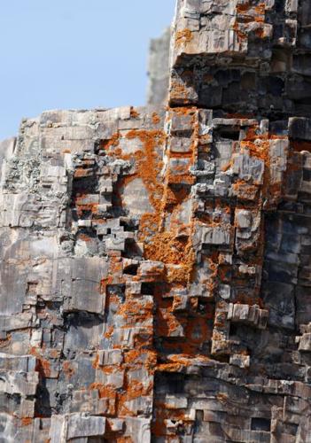 Rock tree
