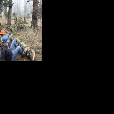 Land managers, trail groups facing big mess in NW forests after December storms