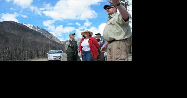 Red Lodge logging project stalls - Vimarsana News