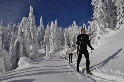 Some Answers To Nordic Skiing Questions You May Have Outdoors