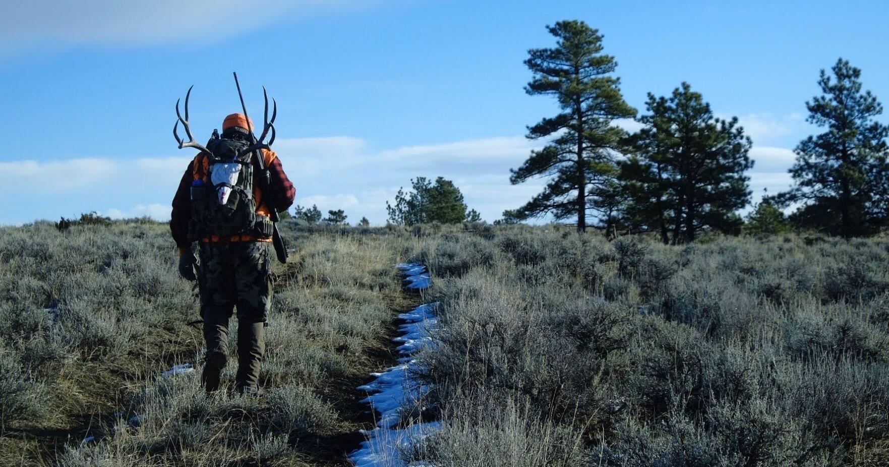 Montana big game season ends with average success - Vimarsana News
