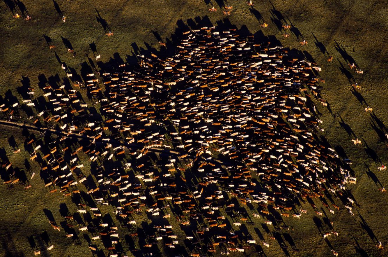 Retrospective: The Great Montana Centennial Cattle Drive of 1989