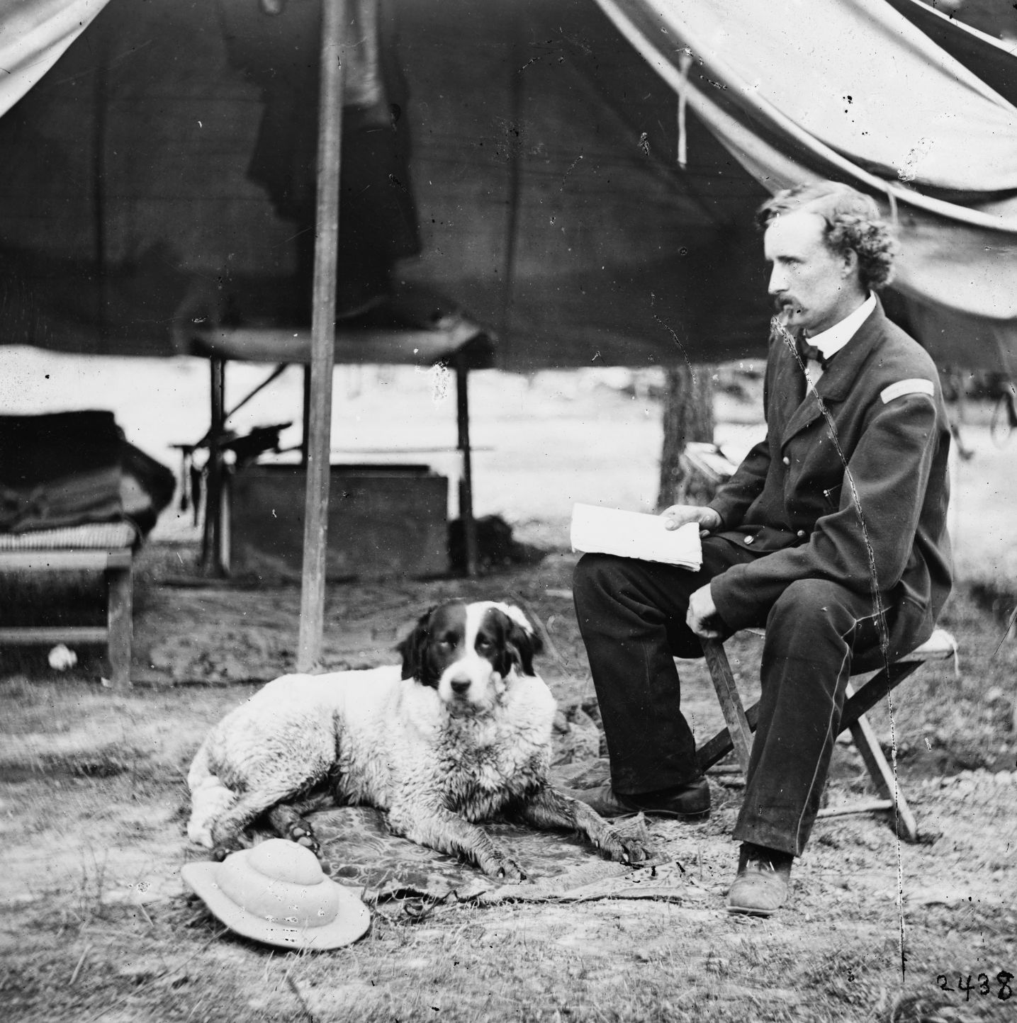 nickel creek gun dogs