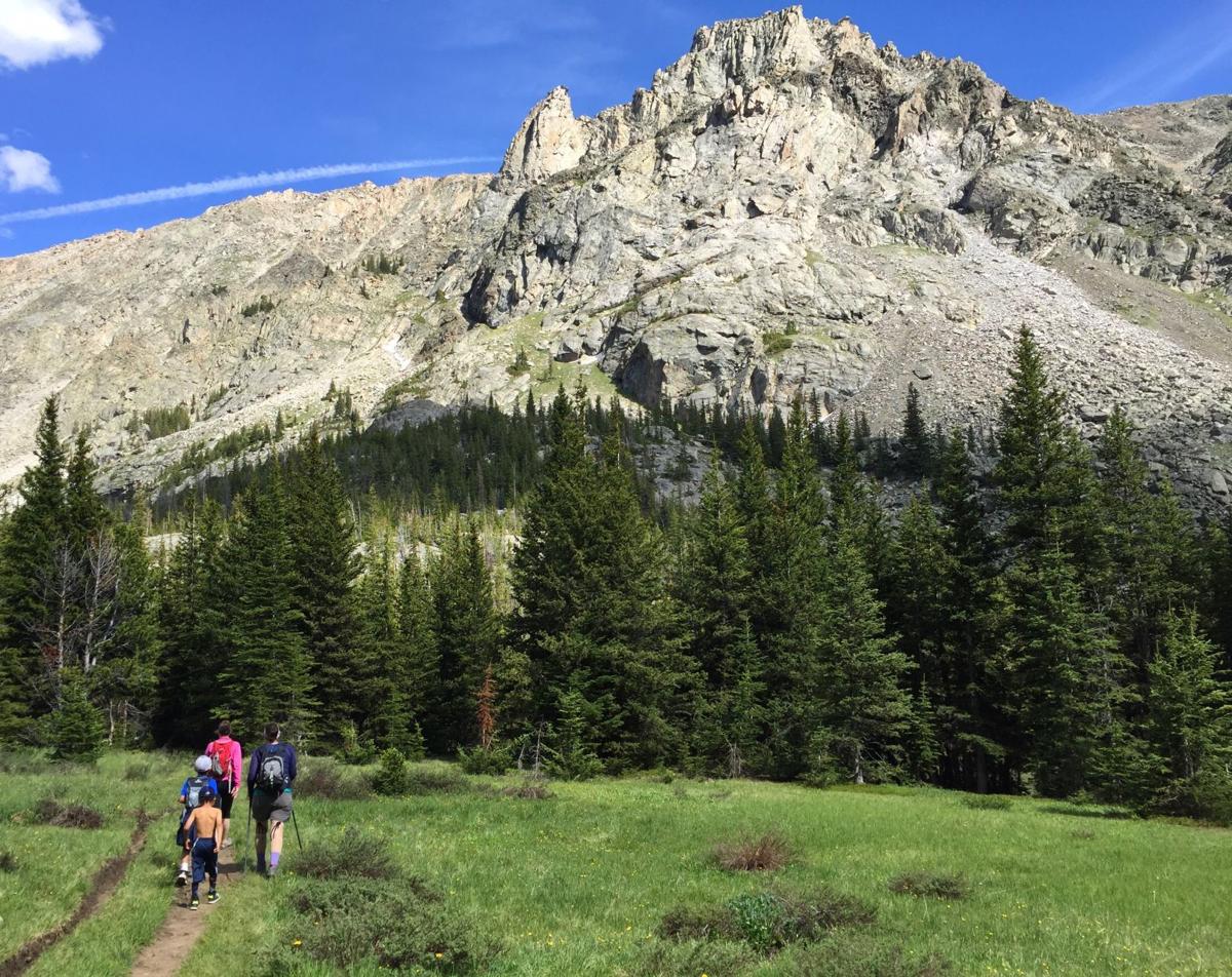 Wild Montana