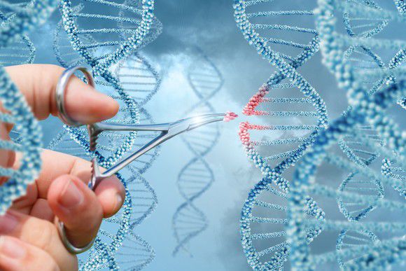 CRISPR Gene-Editing Stocks Going Down the Tubes? Think Again