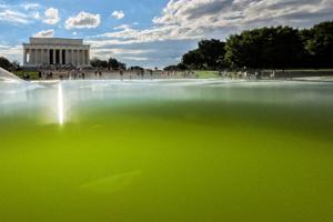 USA-250/REFLECTING POOL