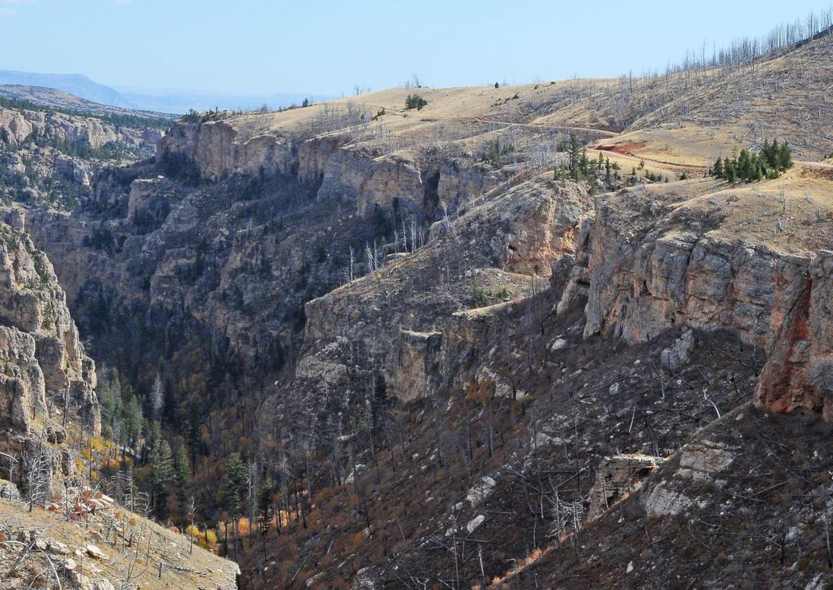 Crooked Creek Canyon Outdoors