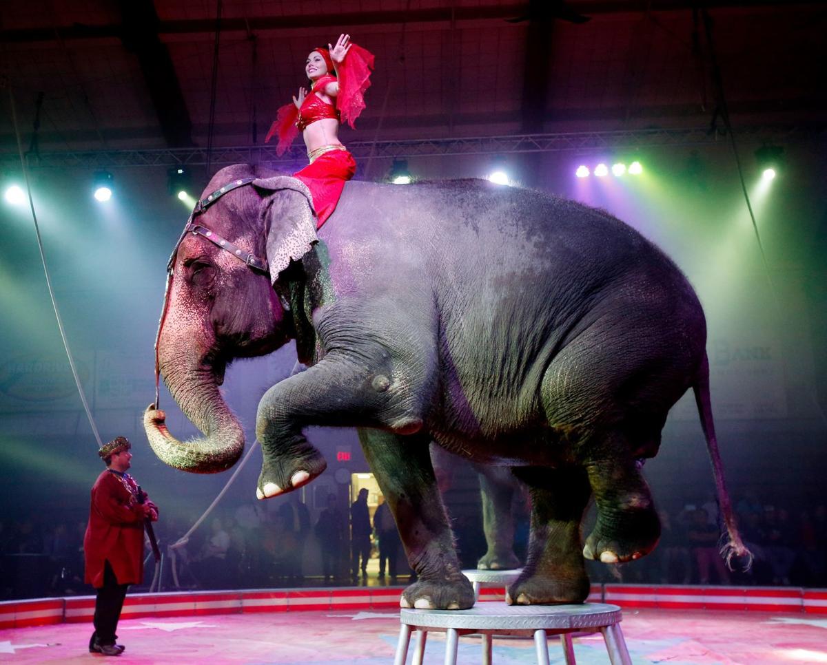 For boys and girls of all ages, the Shrine Circus is in town