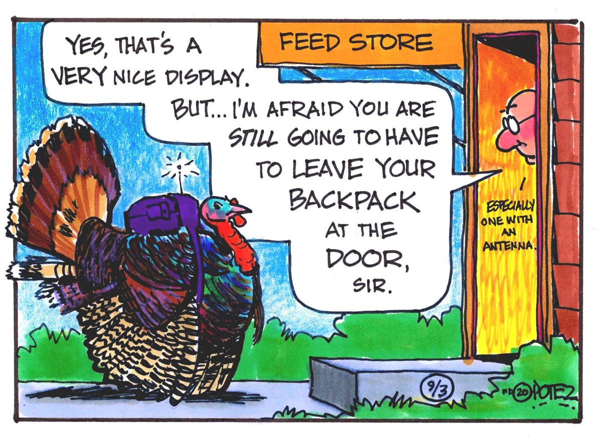 Wild turkey backpacks