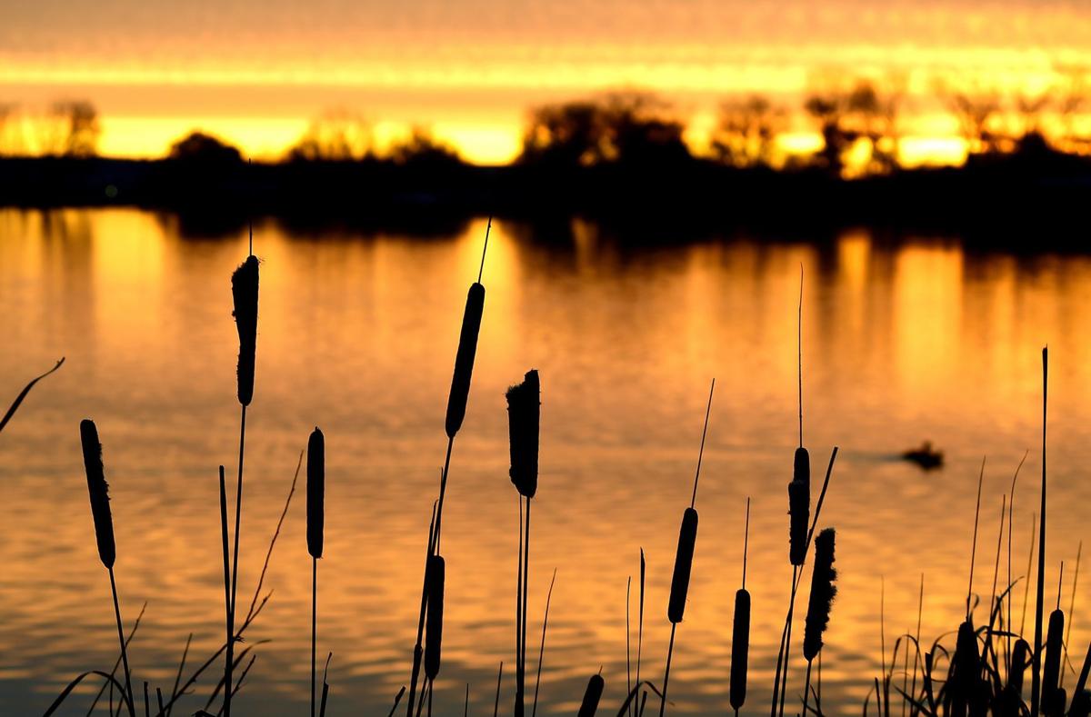Photo Sunrise at Lake Elmo State Park Local News