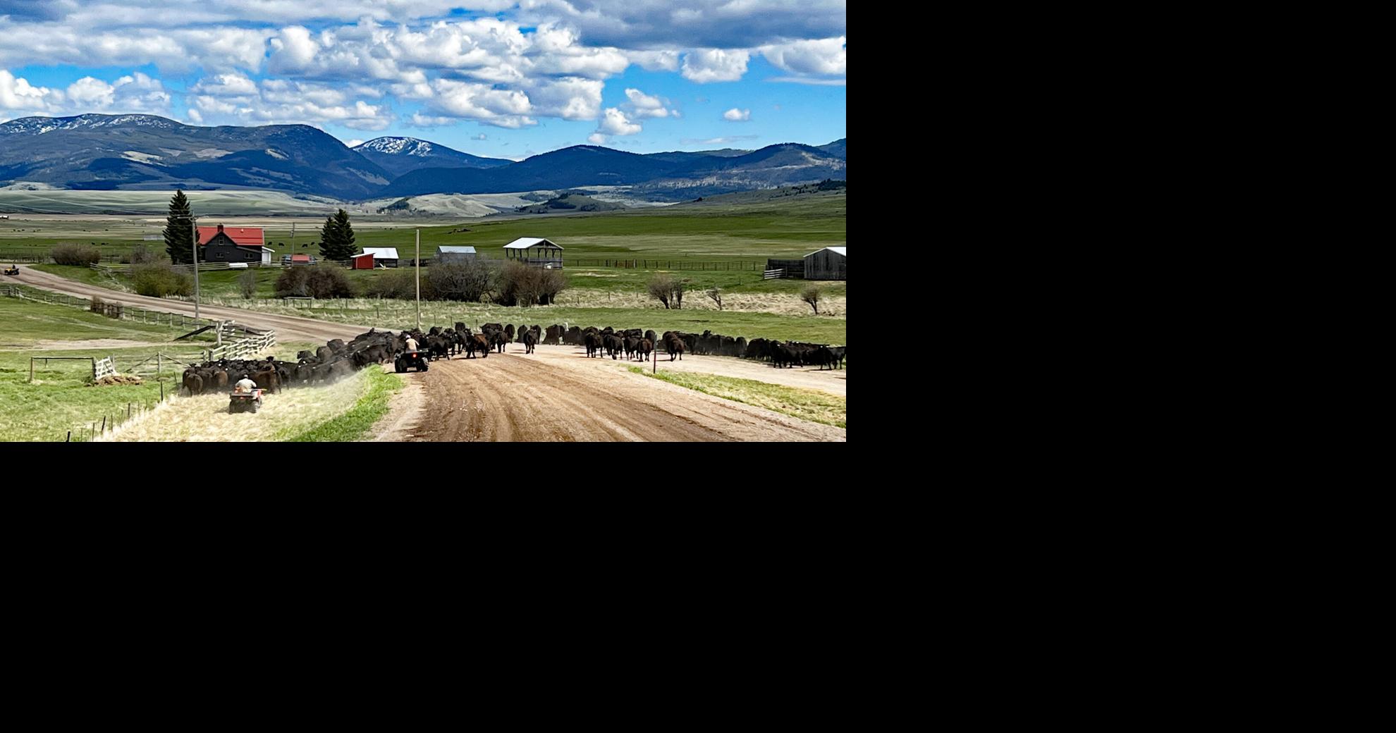 This Is Montana: Pastoral Helmville eyes sustainable future to preserve ...