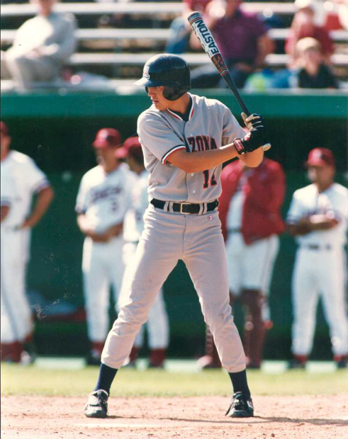 the art of hitting a baseball