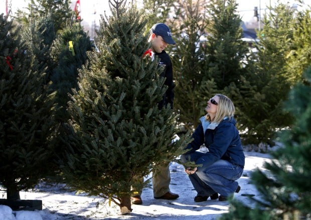 Christmas tree sales steady around Billings