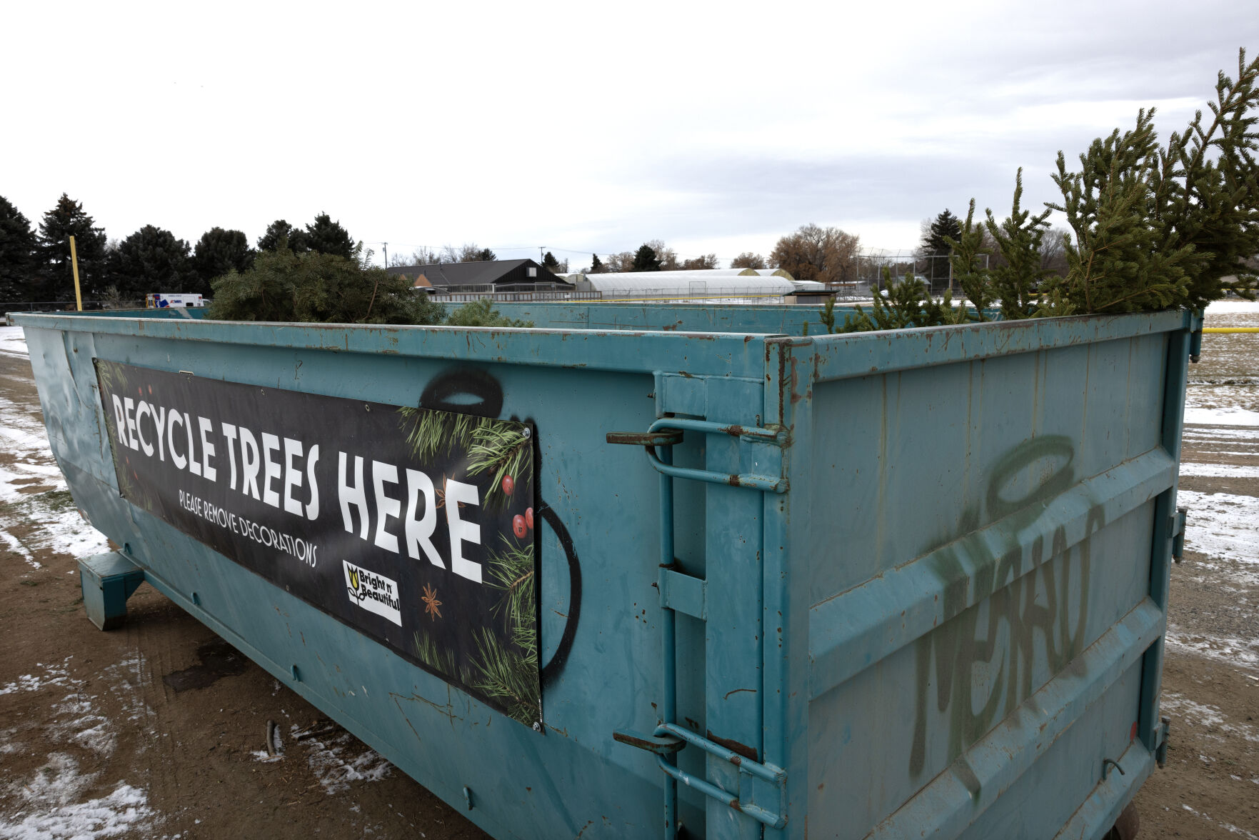 Christmas tree recycling drop off in Yellowstone County