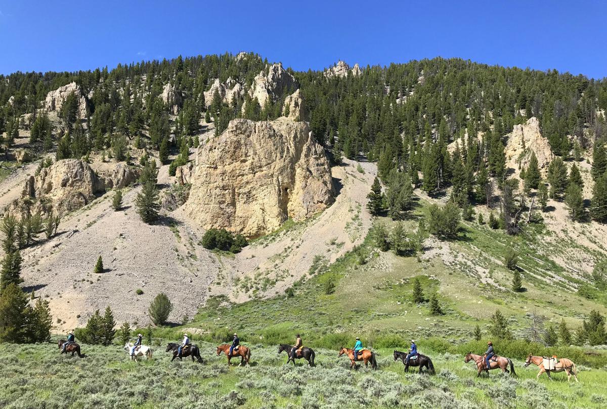Horseback ride
