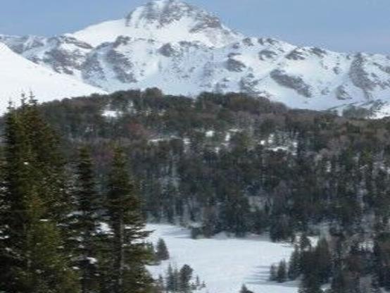 Cooke City Area Rangers Keep Tabs On Backcountry Snowmobilers Montana News Billingsgazette Com Chords ratings, diagrams and lyrics. cooke city area rangers keep tabs on