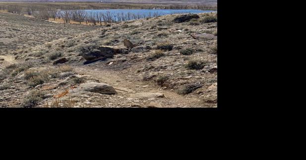 New multi-use trail system proposed on BLM land near Cody - Vimarsana News