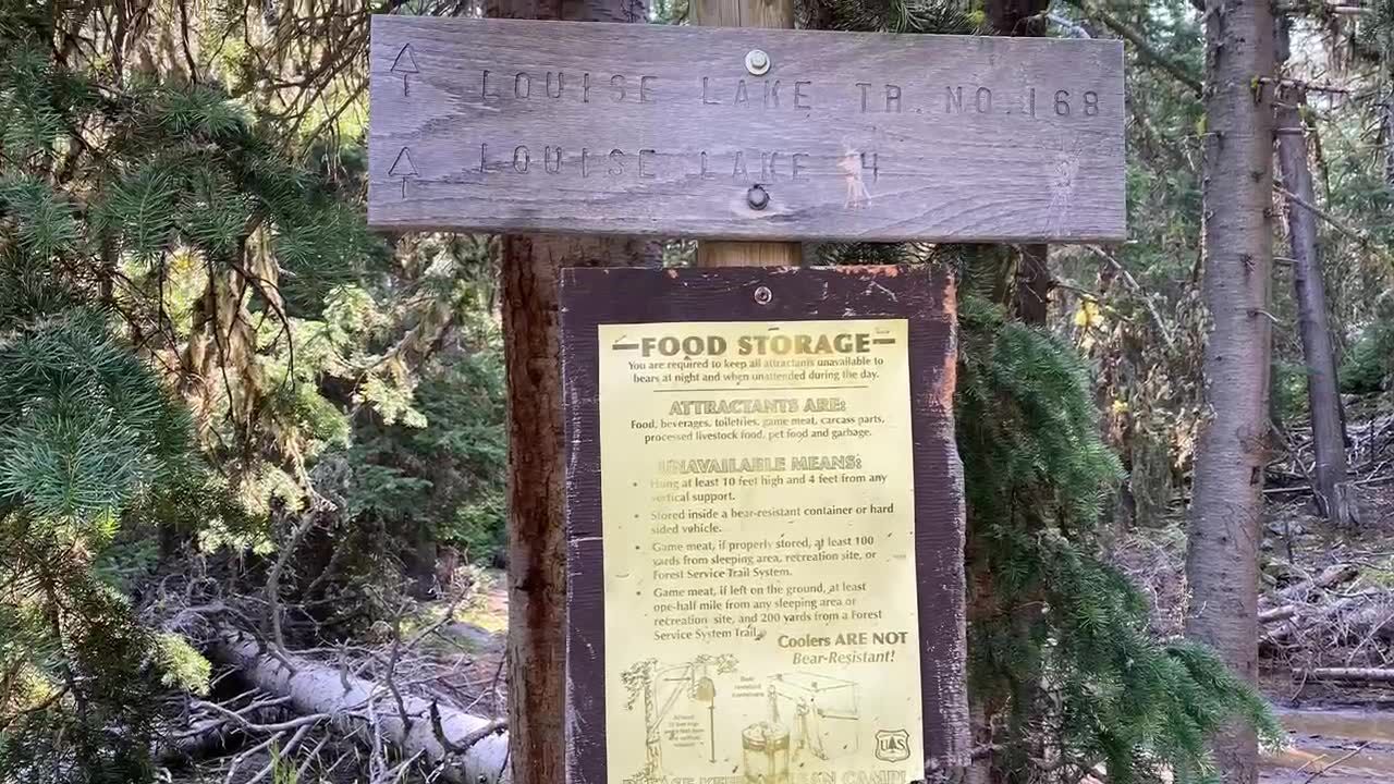 louise lake tobacco roots Louise Lake