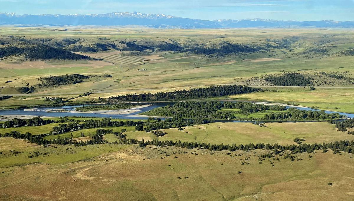 Cottonwood islands