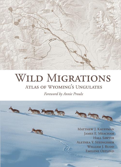“Wild Migrations”