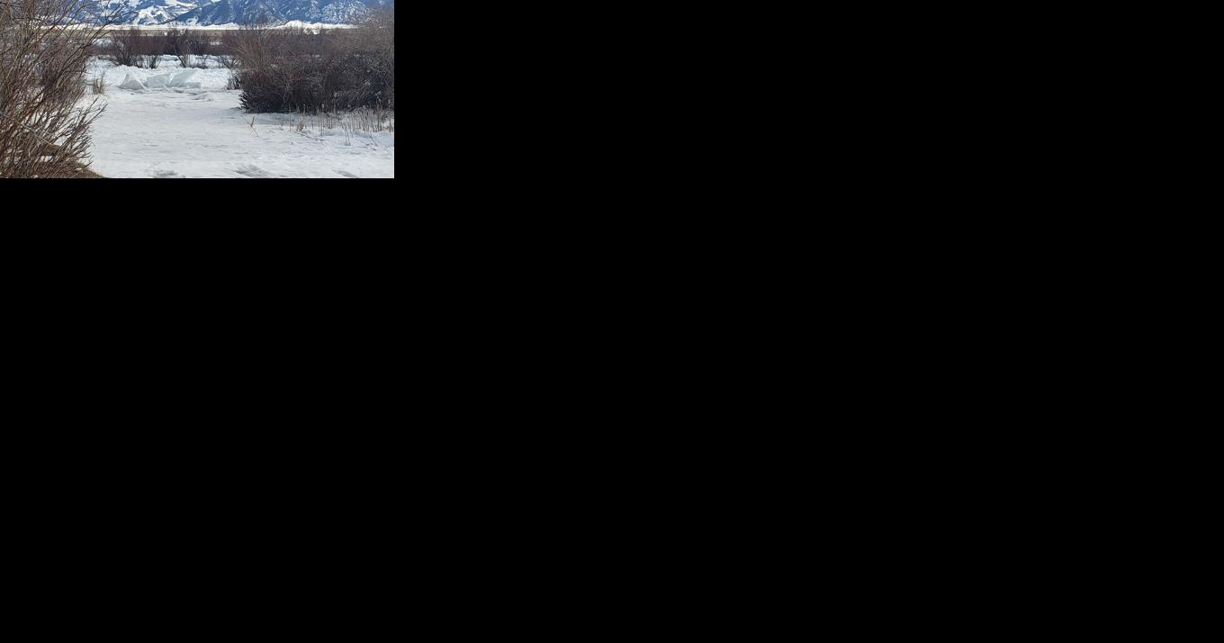 Ice buildup from sub-zero weather jams rivers, streams - Vimarsana News
