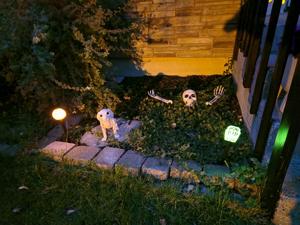 101826-loc-halloween-p25grimes.jpg
