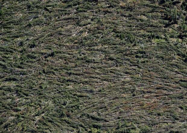 Tornado Microburst Cause Crazy Damage Montana News