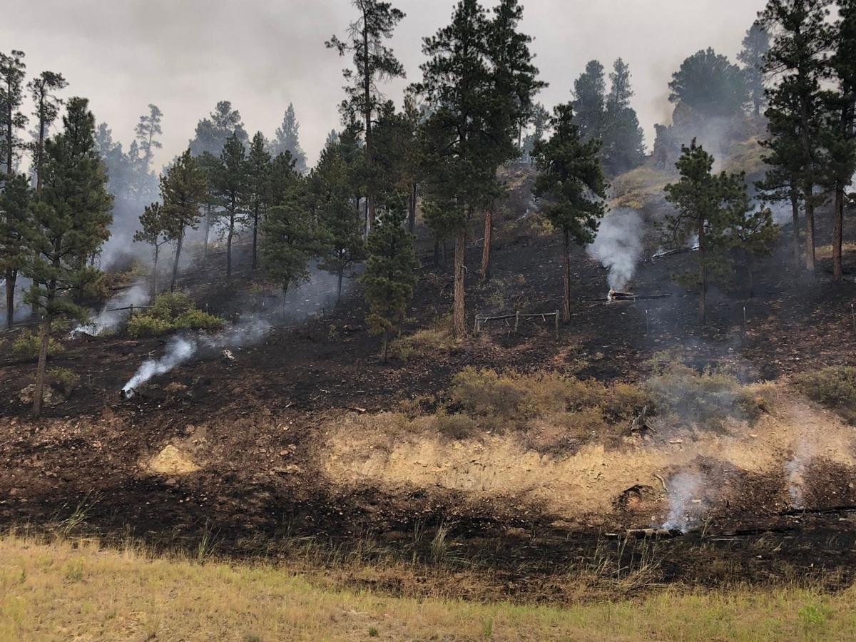 Smoldering stumps
