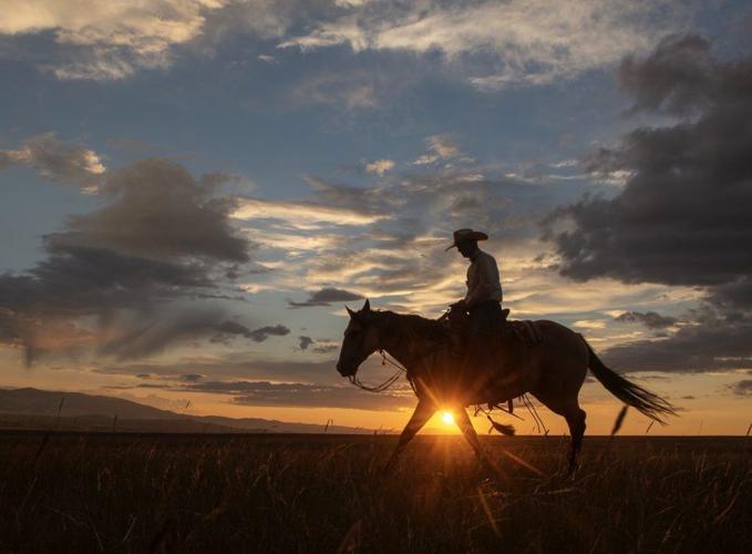 Experience the Authentic West: Rodeos, Cowboys and Heritage