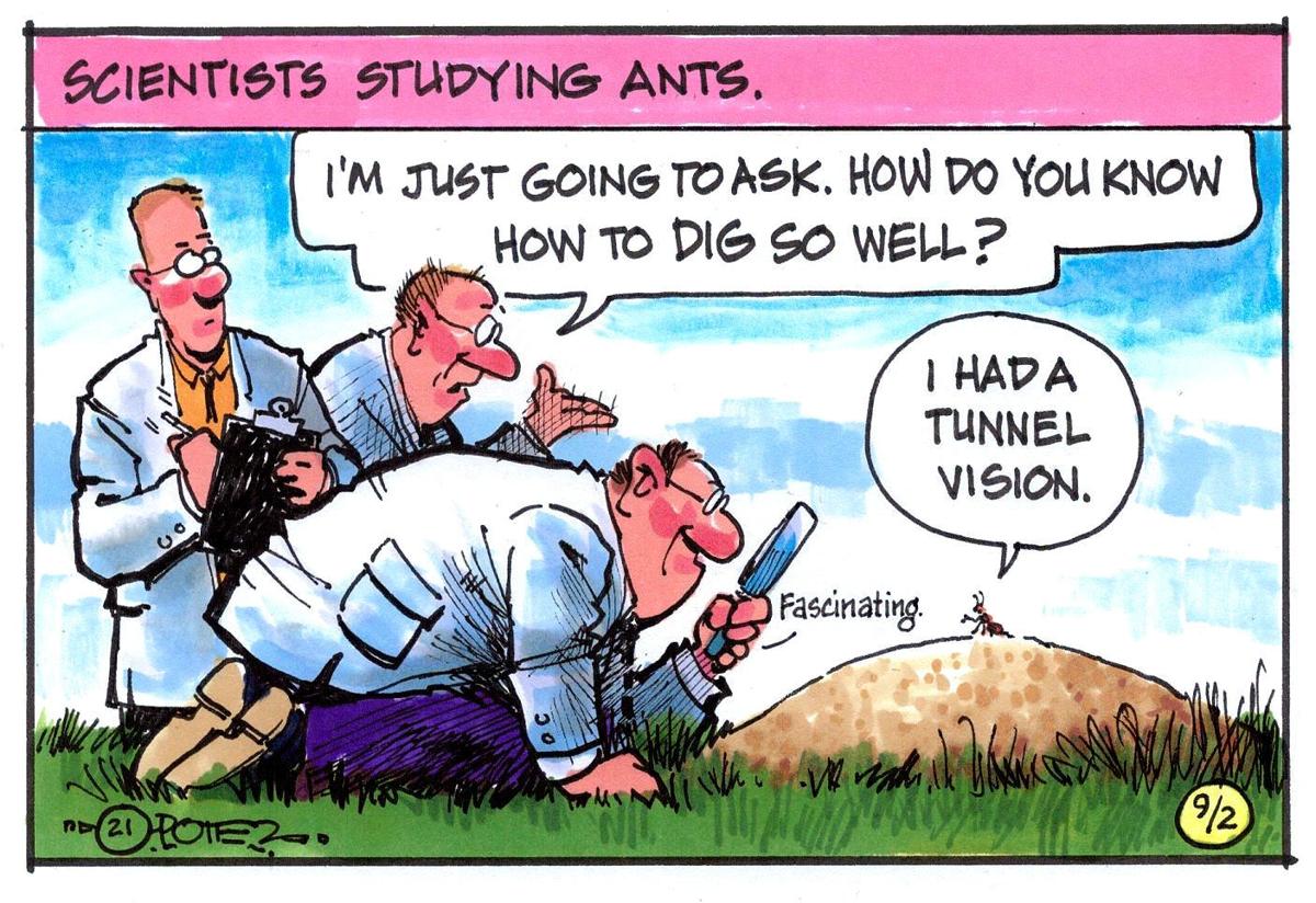 Ant tunnels