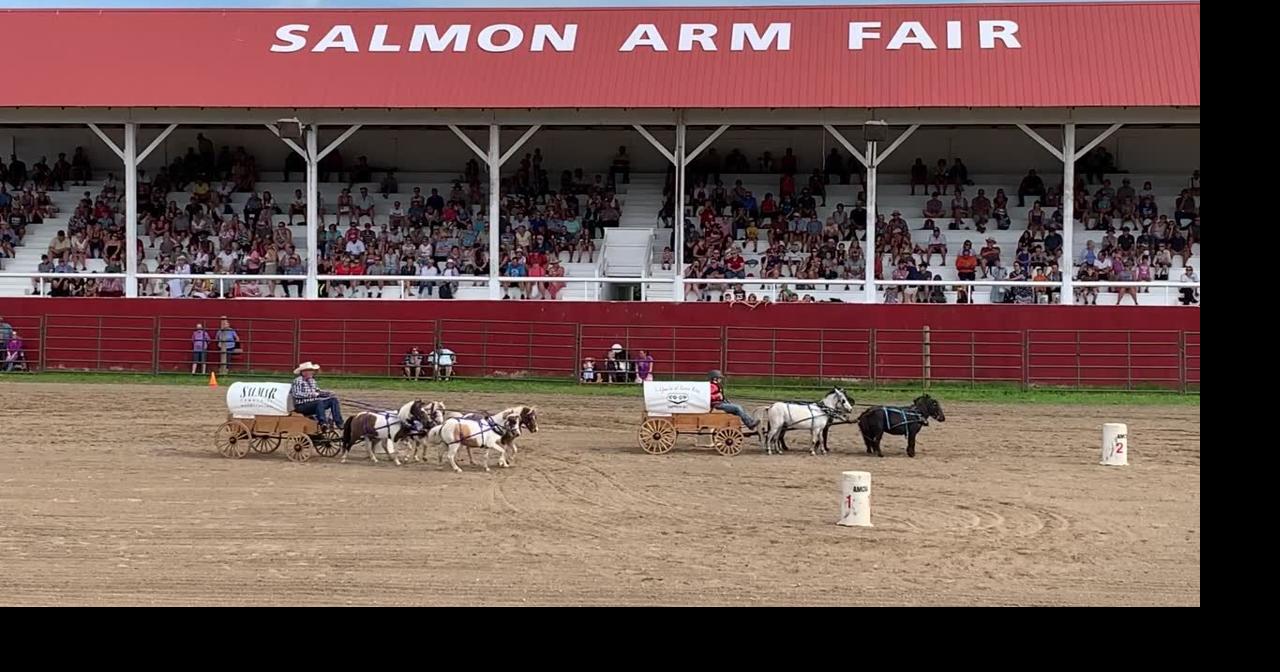 Big Timber pro rodeo features mini chuckwagon races