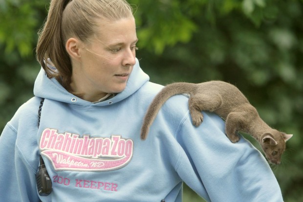 Fossa