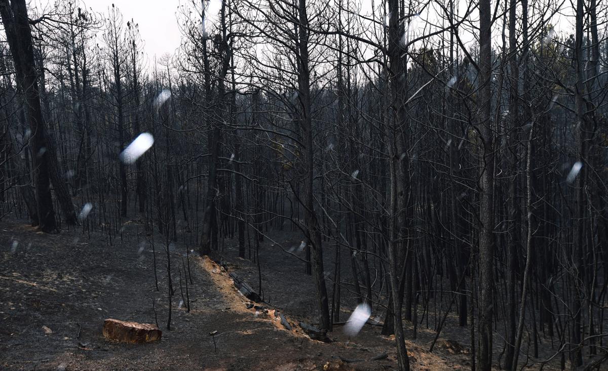 Bobcat fire scenes