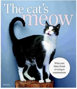 The cat's meow