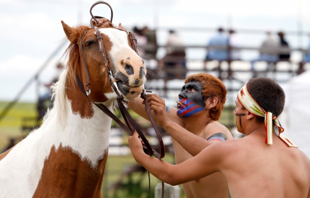 Horse gets a bridle