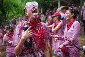 Every year thousands of locals and tourists climb a mountain in the northern Spanish wine producing region of La Rioja to celebrate St. Peter's day by covering each other in red wine using water pistols, back mounted spraying devices, buckets which a