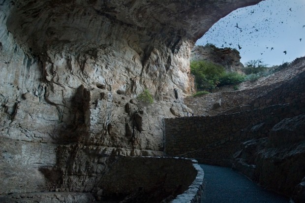 Taking flight to find meal, Carlsbad Caverns are a sight